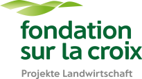 Fondation Sur-la-Croix